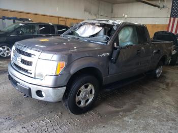  Salvage Ford F-150