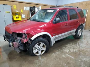  Salvage Ford Escape