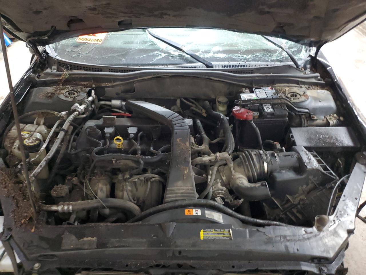 Ford Fusion Se Image 7