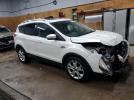 Ford Escape Titanium Image 3