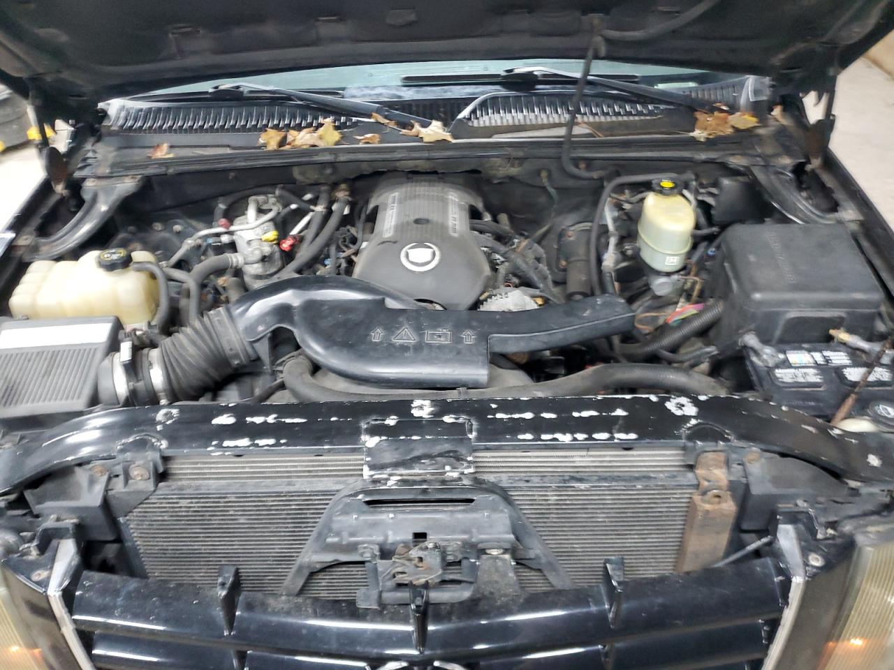 Cadillac Escalade Luxury Image 11