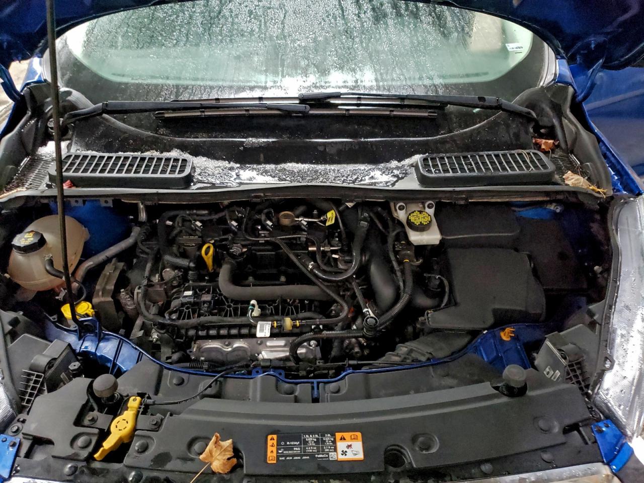 Ford Escape Se Image 10