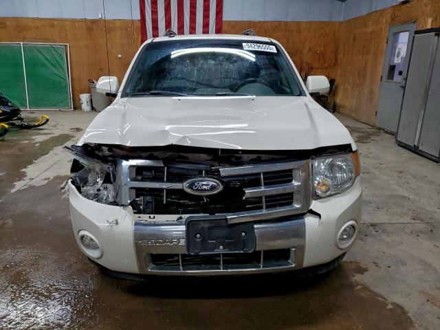 Ford Escape Limited Image 2