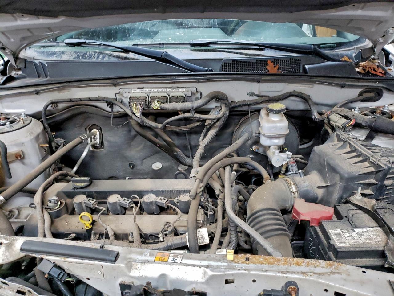 Ford Escape Limited Image 3