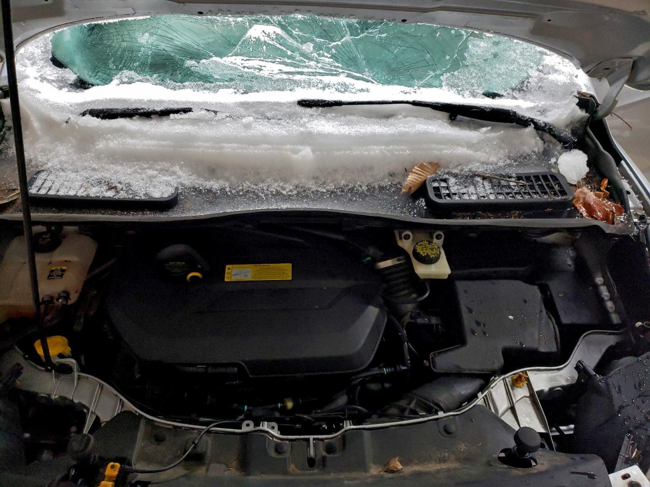 Ford Escape Se Image 6