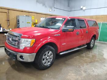  Salvage Ford F-150